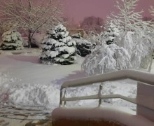 Снег на улицах Краснодара начали убирать с ночи