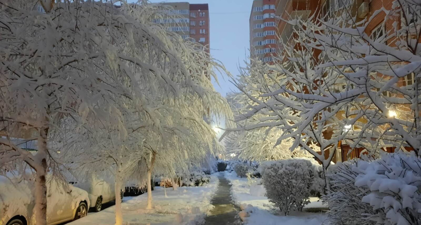 Снег на улицах Краснодара начали убирать с ночи
