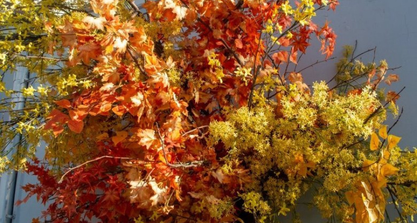 До +26 градусов: синоптик назвал точную дату пика октябрьского потепления на Кубани