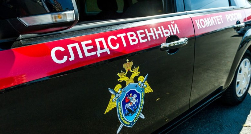 Бастрыкин потребовал доклад по матери, снявшей видео с "коньяком" для малолетней дочери