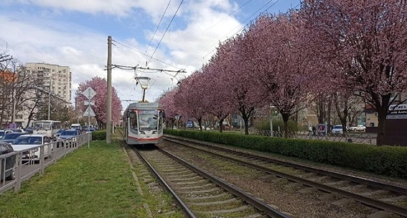 Авария с трамваем парализовала пять маршрутов в центре Краснодара
