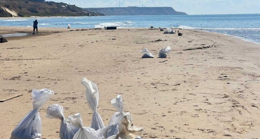 22 спасателя и волонтера собрали 364 мешка мазута на пляжах Тамани