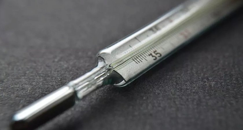 Девять случаев гриппа на Кубани: заболеваемость в семь раз ниже эпидпорога