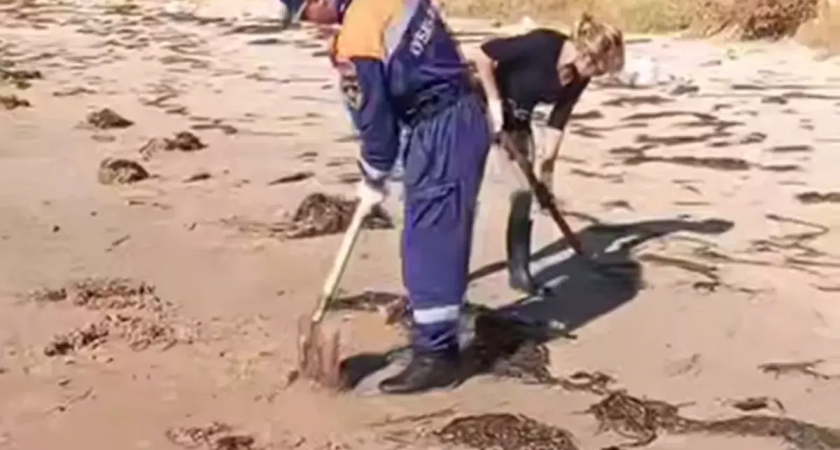 Мазут с водорослями выбросило на берег Волны: «Кубань-СПАС» и волонтеры «Дельфина» начали срочную уборку