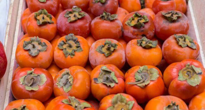 Западный цветочный трипс: в узбекской хурме обнаружили живого карантинного вредителя