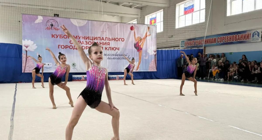 Центр гимнастики на Объездной: губернатор изменил планы после строительства центра единоборств в Развилке