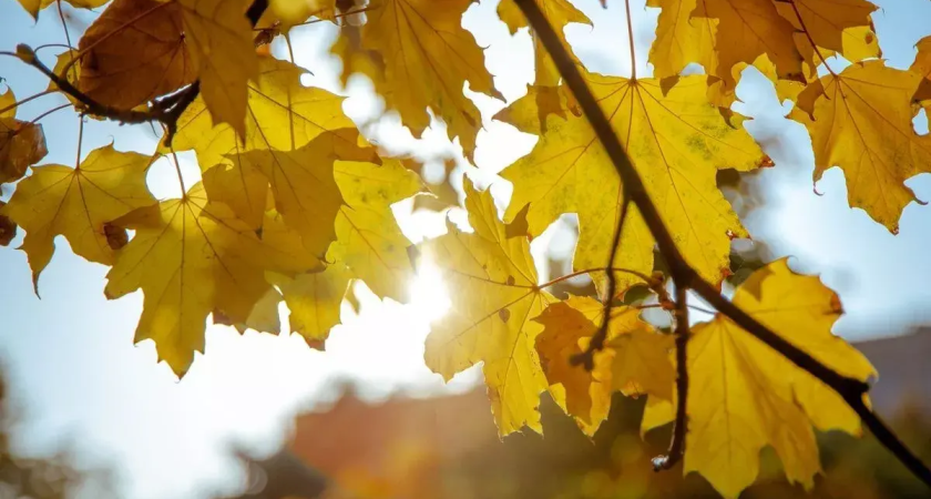 Туапсе обогнал всю Россию: 8 городов Кубани захватили топ-10 самых теплых мест