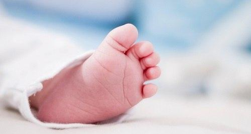 42 тысячи новорожденных на Кубани: среди них 435 двоен и 4 тройни