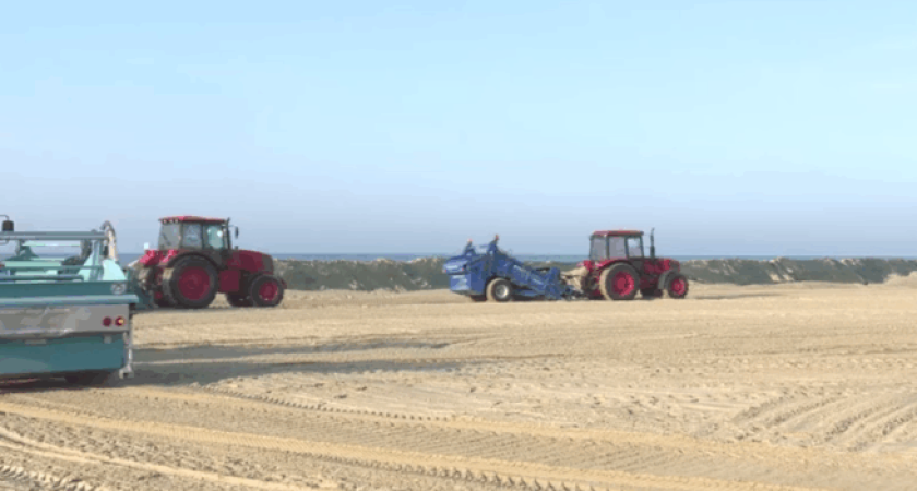 От технополиса «Эра» до «Золотых песков»: 10 машин просеивают песок после выбросов мазута