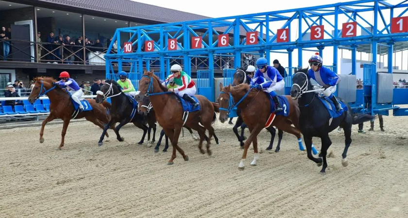100 миллионов на скачки: Кубань закрыла сезон с епископом и депутатами
