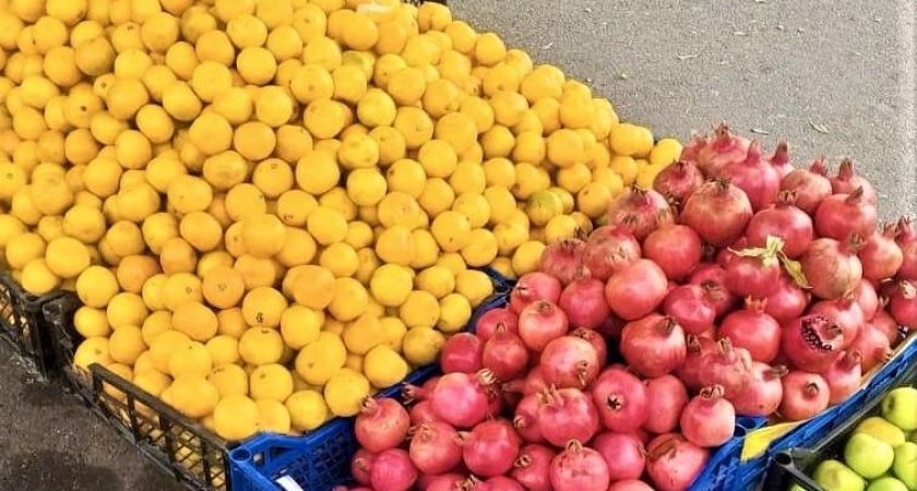 7,7 тысячи протоколов за год: Сочи, Краснодар и Анапа лидируют по нелегальной торговле