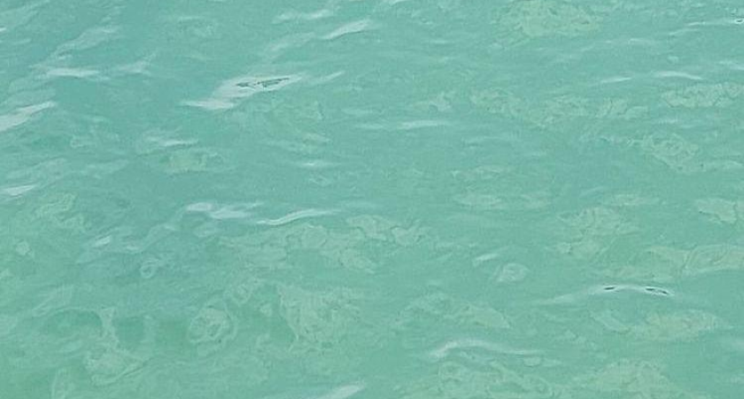 Взрыв дрона выбил стёкла в домах Туапсе: курорт на тревоге с полуночи