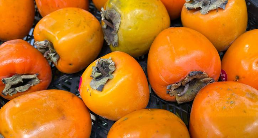 На Кубань хлынула хурма: 1,7 тысячи тонн из 8 стран за начало года