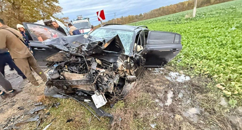 Краснодар — лидер смертности на дорогах: 875 ДТП и 48 погибших за 10 месяцев