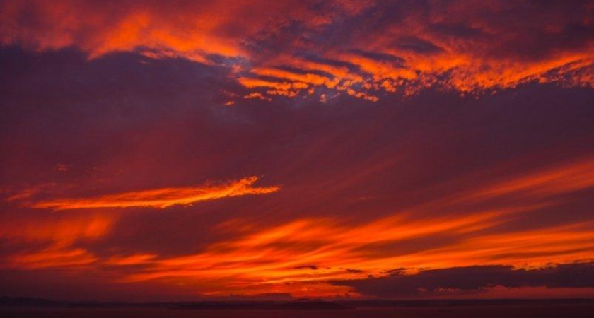 125 БПЛА за ночь: Кубань отразила массированную атаку, Новороссийск пострадал сильнее всего