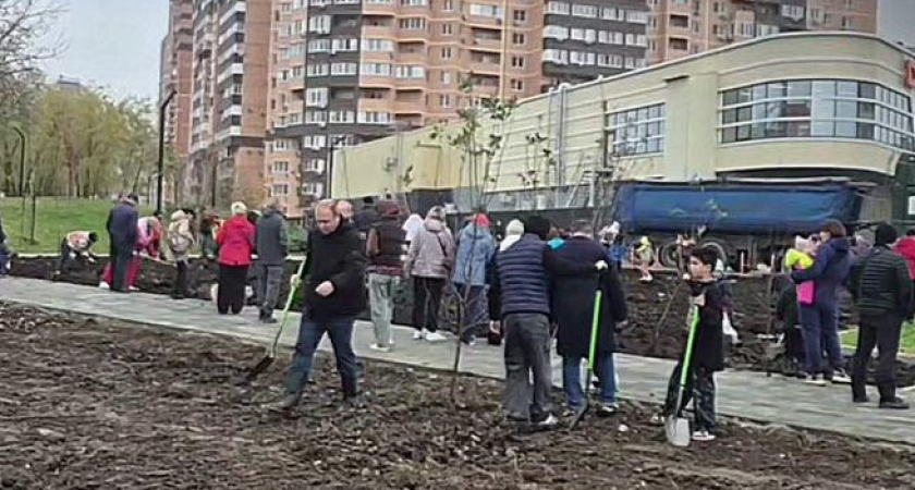 43 яблони и детские руки: на Николаевском бульваре вырос сад по поручению мэра