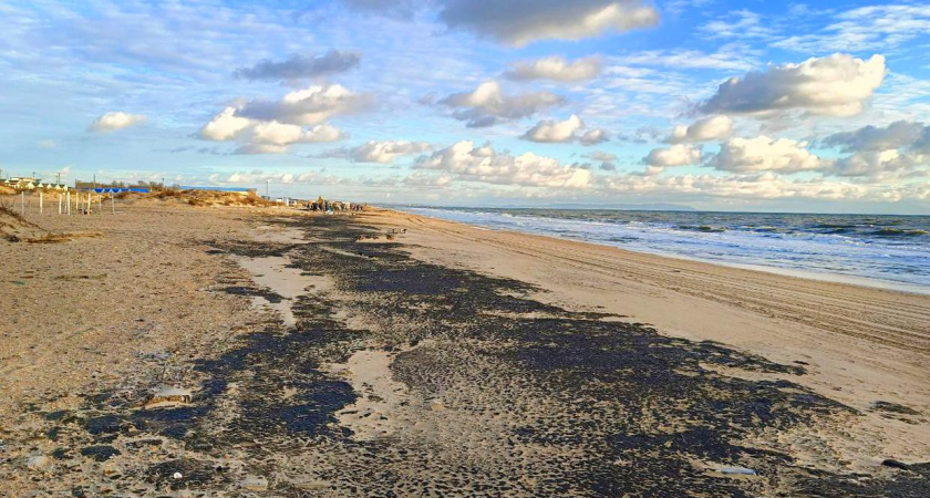 Портал «Спасай море», который не спал ночами во время ЧС в Анапе, борется за главную премию страны