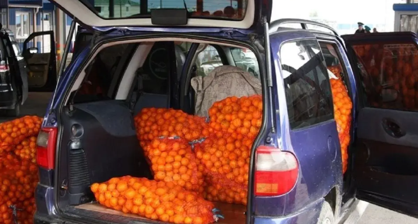7 тысяч тонн фруктов из Абхазии: таможня ловит контрабандистов с 500 кг мандаринов в багажнике