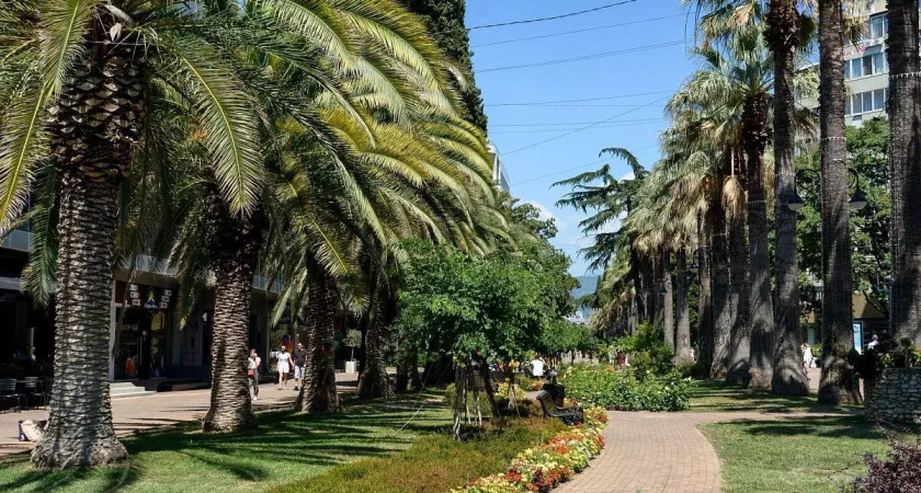 Сочи обогнал всю Россию: +23,4°C, а Краснодар побил 40-летний температурный рекорд