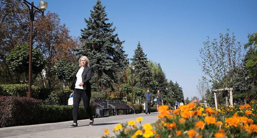 Почти летние +24°С: Краснодарский край удивит погодным контрастом 22 ноября