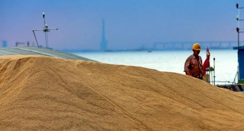 Россия захватила 44% египетского рынка пшеницы: 777 тысяч тонн за два месяца