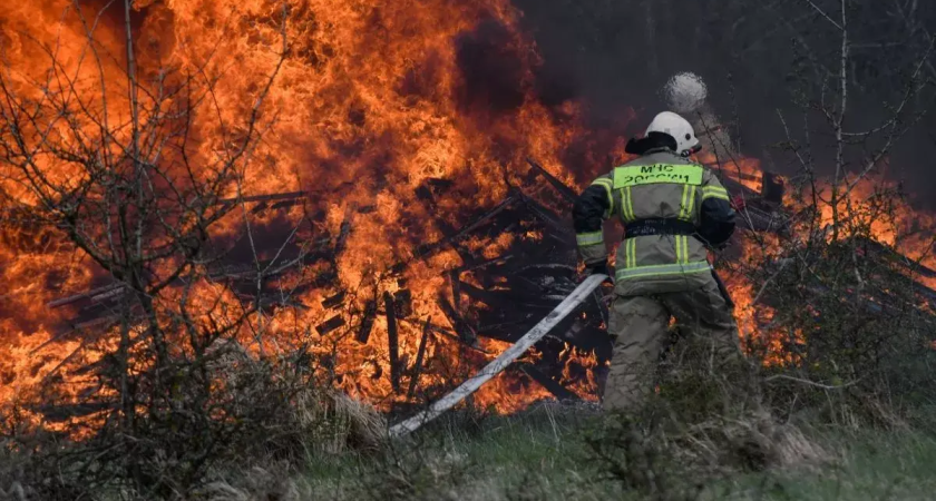 Огонь от сухой травы перерос в лесной пожар у СНТ Сосновка под Геленджиком