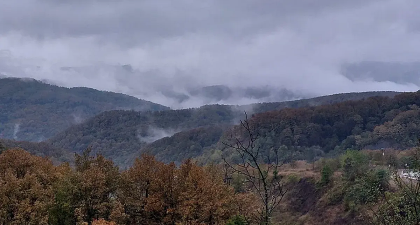 Грозы и порывы до 14 м/с: Кубань накроет непогода 1 декабря