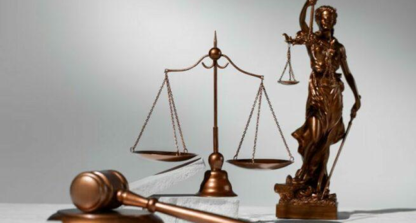 Вместо детского лагеря — элитные виллы: в Геленджике сносят 40 га незаконной застройки у моря