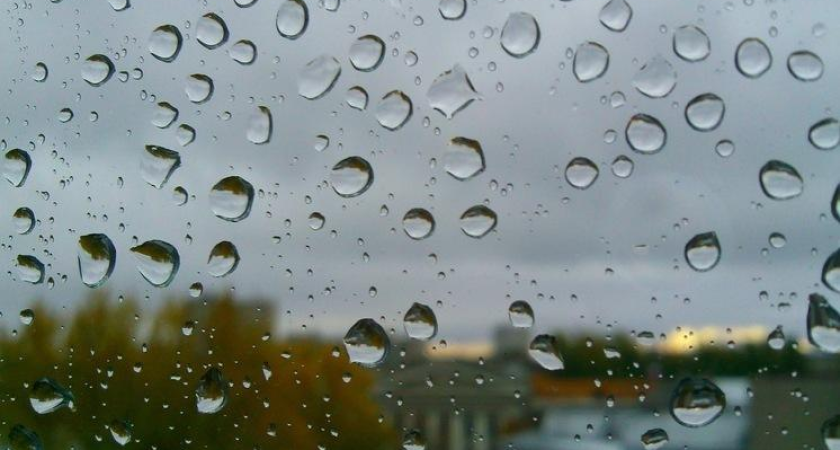 Гроза и +16°C в декабре: Сочи накроет аномальная погода с ветром до 14 м/с