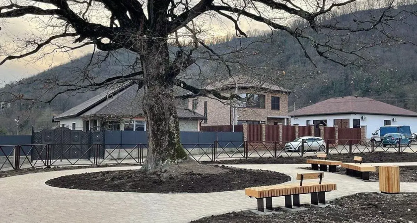 13,9 млн из курортного сбора потратили на сквер у 500-летнего дуба-великана в Агуй-Шапсуге