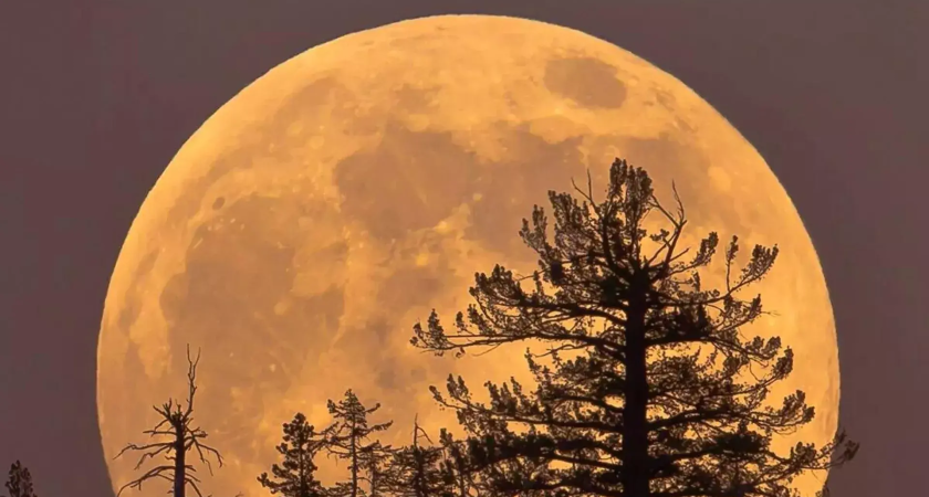 В ночь на пятницу Луна подойдет на 357 тысяч км и ослепит землян