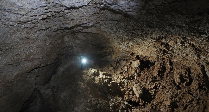 В пещере на 115 метров обнаружили краснокнижную летучую мышь