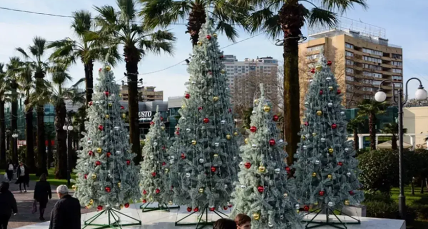 Сочи готовится к наплыву: 480 тысяч туристов за 12 дней праздников