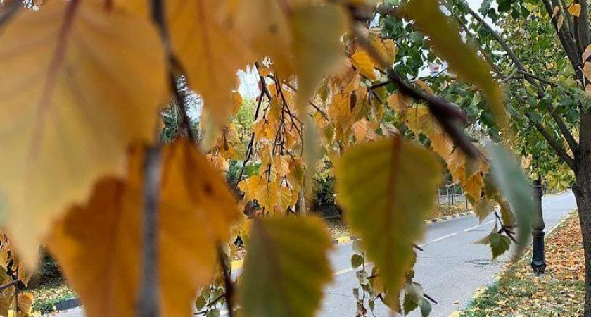 В Краснодаре установится морозная сухая погода: +6…+8° днем и 0° ночью