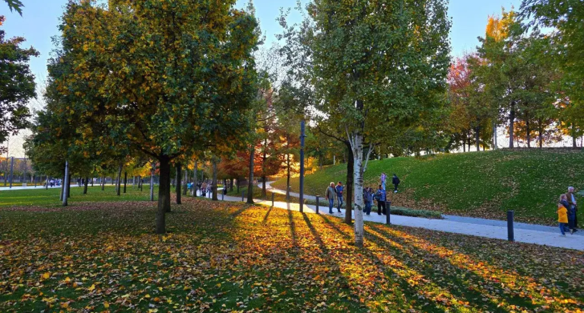 3,2 млн рублей ущерба: Росприроднадзор обвинил компанию Галицкого в уничтожении почвы при строительстве «Парка Облаков»