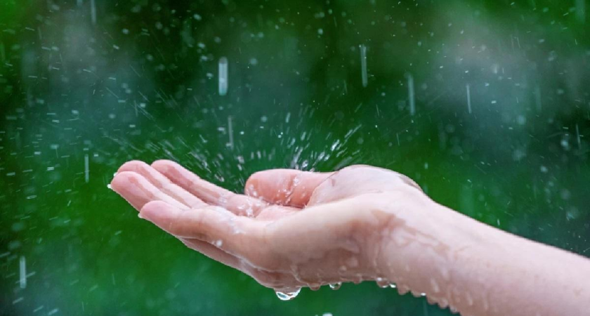 Кубань отказалась от «дождевых пушек» против засухи, но держит вариант до конца года