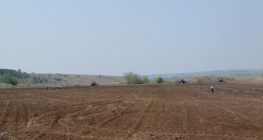 Ноябрь принес засуху в Краснодарский край 