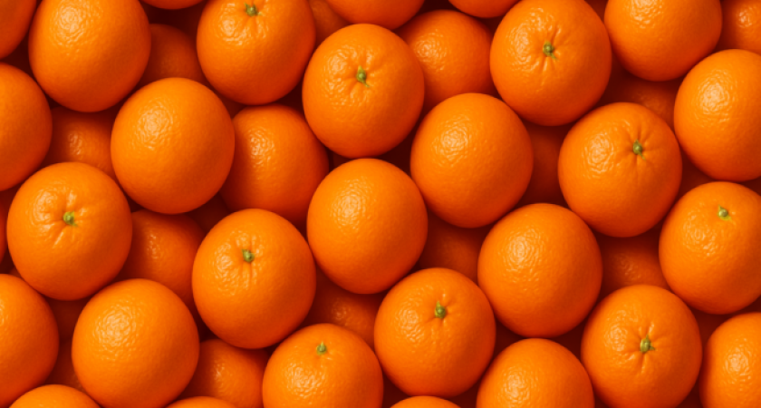 Краснодарский край завален мандаринами: 444 тыс. тонн за год