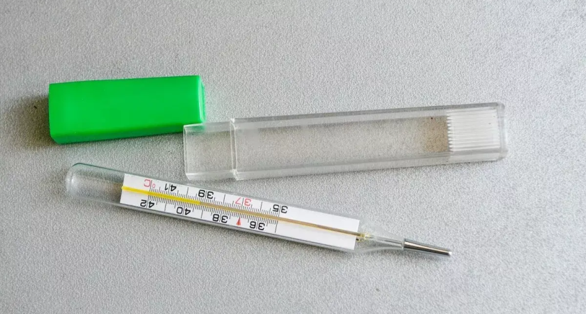 На Кубани грипп дал 61% всех ОРВИ: 1263 заболевших за неделю