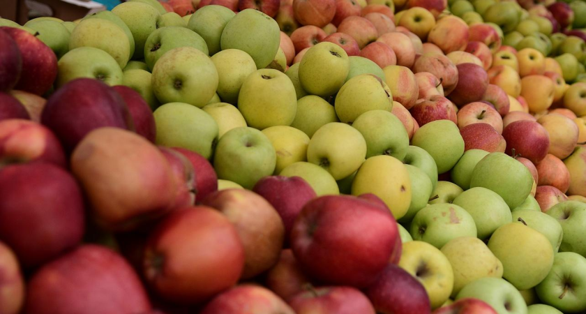 Последняя ярмарка 2025-го: 8 площадок со свежей едой к новогоднему столу