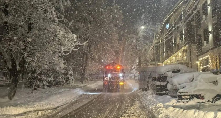 Шторм в Сочи: 20 деревьев повалены, электросети повреждены