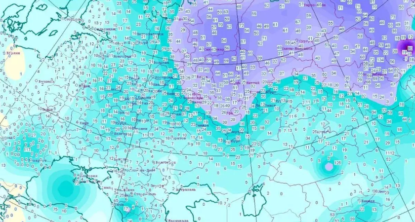 В горах под Сочи снега намело выше двух метров, на побережье — всего семь сантиметров