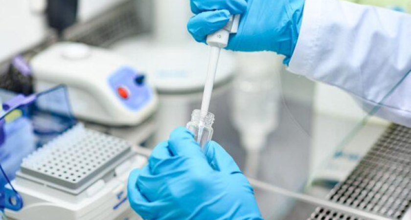 Саммит «Сириус.Биотех» соберет лидеров фармацевтики для поиска прорывных решений в биомедицине