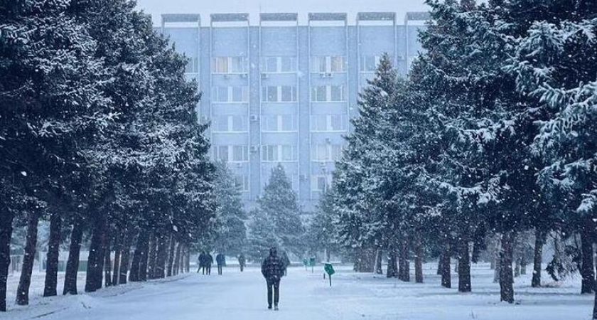 Битва за 900 млн: университеты Краснодара могут получить гранты Росмолодежи до 10 марта