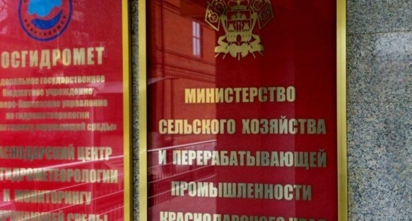 Аграриям Кубани ужесточат требования для льготных кредитов: отчетность станет обязательной