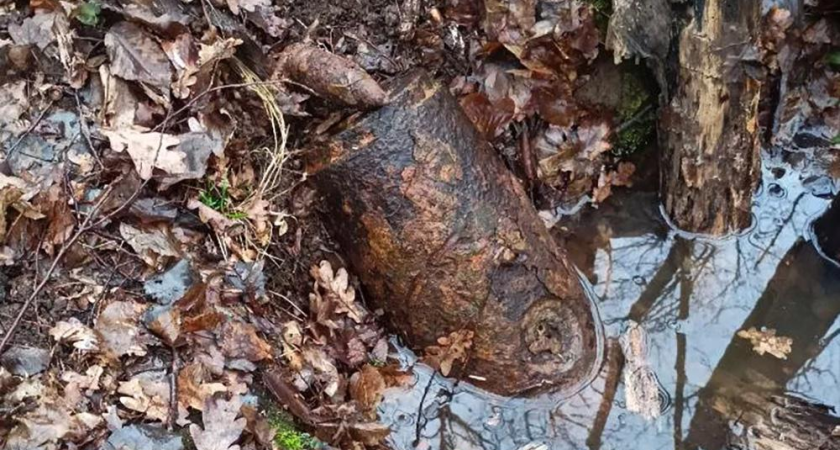 «Эхо войны»: 50-килограммовую авиабомбу и снаряд, найденные жителями в лесу под Горячим Ключом, уничтожили бойцы «Шторм-Юг»