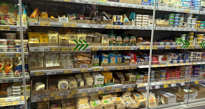 Учёные раскрыли правду о любимом продукте: можно ли есть сыр каждый день