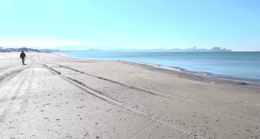 «Фейк о мазуте»: МЧС опровергло новые выбросы нефтепродуктов на пляжах Анапы после 3 месяцев чистоты