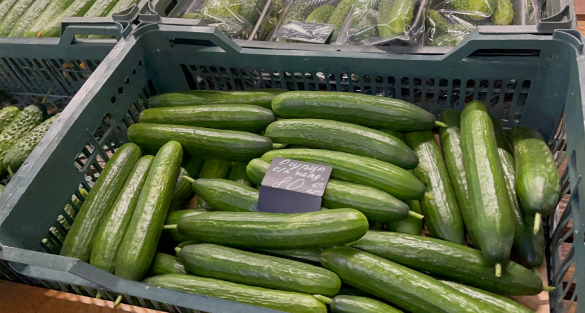 Когда снизятся цены на огурцы в России: жители устали от космических цен на овощи