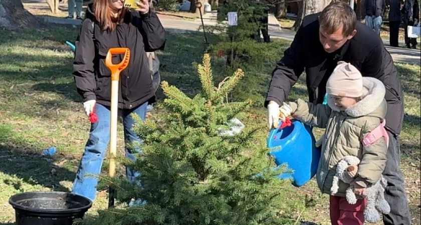 «Чтобы помнили»: родные погибших героев СВО высадили 100 деревьев в парке «Ривьера» Сочи